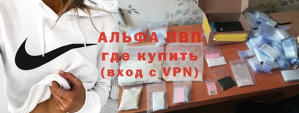 хмурый Касимов