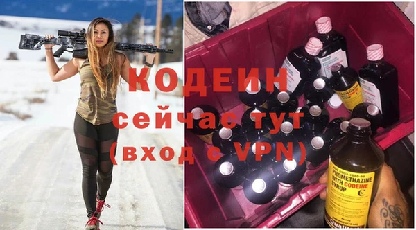 хмурый Касимов