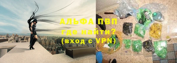 хмурый Касимов