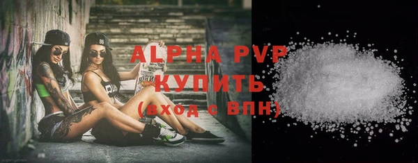 хмурый Касимов