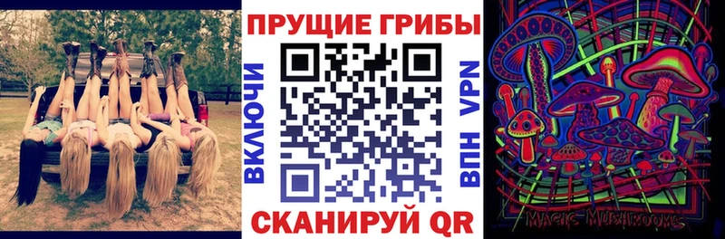 Купить где  Краснокаменск  Псилоцибиновые грибы прущие грибы 